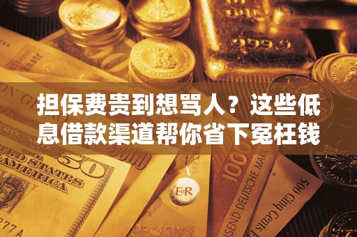 济南担保费贵到想骂人？这些低息借款渠道帮你省下冤枉钱