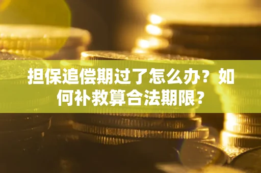 济南担保追偿期过了怎么办？如何补救算合法期限？