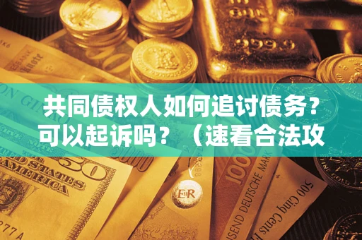 济南共同债权人如何追讨债务？可以起诉吗？（速看合法攻略）